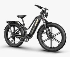FIIDO Titan Cargo Electric Bike for today