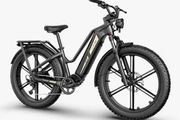 FIIDO Titan Cargo Electric Bike for today