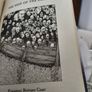 The Mistletoe Bride &other haunting tales by Kate Mosse Image 3