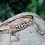 Antique Diamond & Pearl Bangle Bracelet - 1900 Image 2