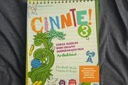 Cinnte! 3 Junior Cycle Higher Level Irish / Gaeilge Ardleibheil na Sraithe Soisearai