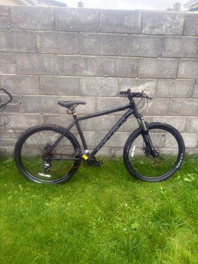 Carrera vengeance mountain bike