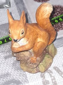 Beautiful Old Red Squirrel by John Aynsley