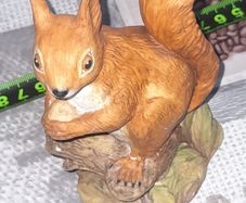 Beautiful Old Red Squirrel by John Aynsley