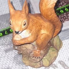 Beautiful Old Red Squirrel by John Aynsley
