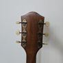 Egmond Acoustic Guitar Image 7