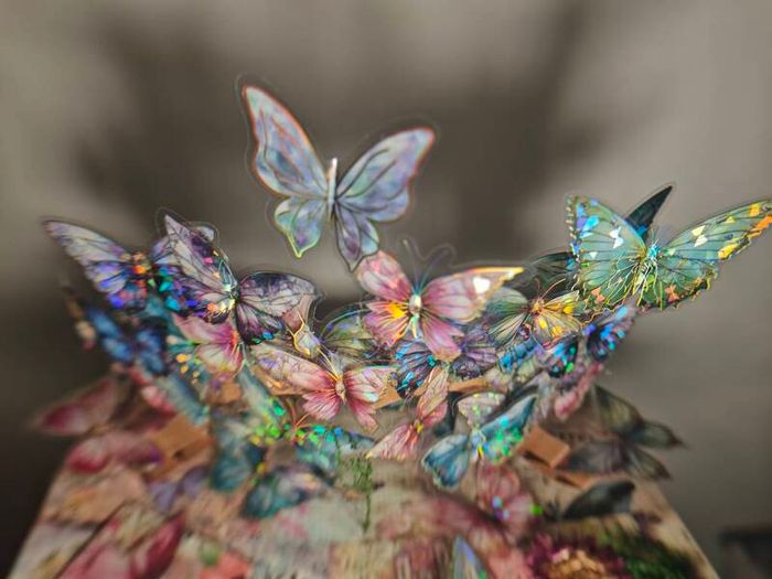 Handmade 3D Butterfly PopUp Book