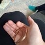 9 ct gold child bracelet Image 7