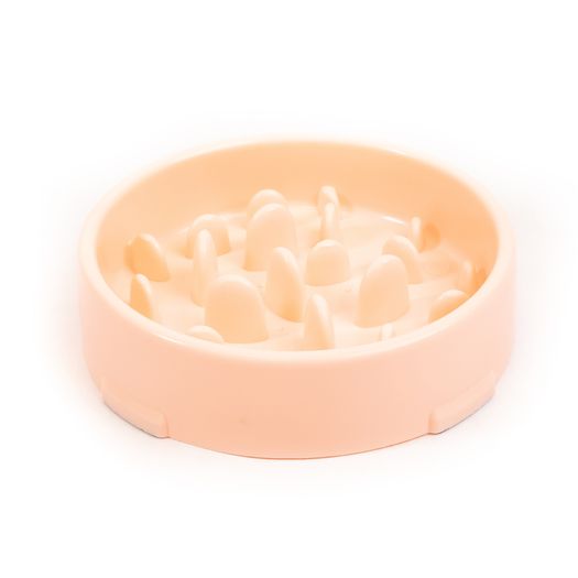 Slow Feeder Dog Bowl