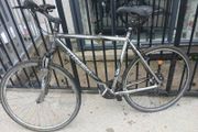 Adult's Bike