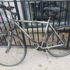 Adult's Bike