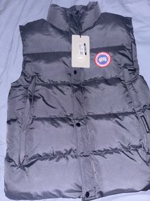Canada goose