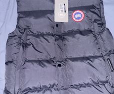 Canada goose