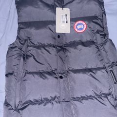 Canada goose
