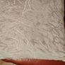 4 paul Costello cushions cream/gold Image 2
