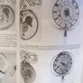 Watch Collection Certina, Raketa, Zaria, Berthoud Image 6
