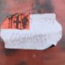 RH Front Outer Glass Rubber (Alfa Romeo 146) Image 5