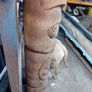 Toten poles for sale Image 4