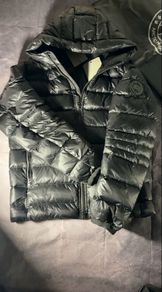 Canada goose Crofton