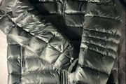 Canada goose Crofton