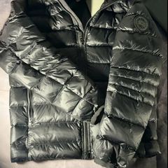 Canada goose Crofton
