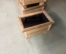 plant boxes