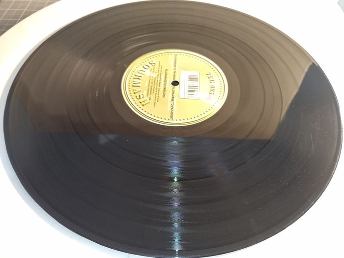 Sourmash - Pilgrimage To Paradise - Technogold Records - GERMAN Pressing! EXCELLENT Condition! Original MIX!