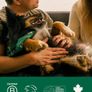 Pet Wipes for Dogs, Hypoallergenic, Cleaning and Hydrating, for Grooming Paws, Body and Bums, Unscented, 100 Count Image 9