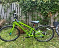 cannondale