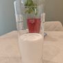 Create Your Own Probiotic Kefir with Live Milk Kefir Grains Image 5