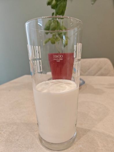 Create Your Own Probiotic Kefir with Live Milk Kefir Grains