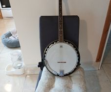 westfield remo four string tenner banjo