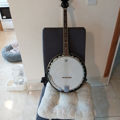 westfield remo four string tenner banjo