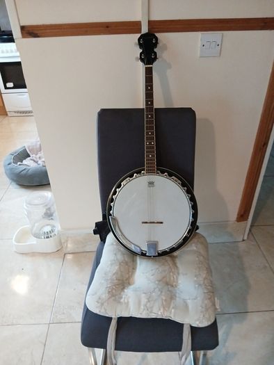 westfield remo four string tenner banjo