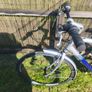 Hybrid bike Image 3