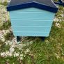 dog box Image 3
