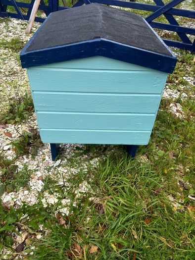 dog box