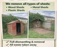 garden shed removal