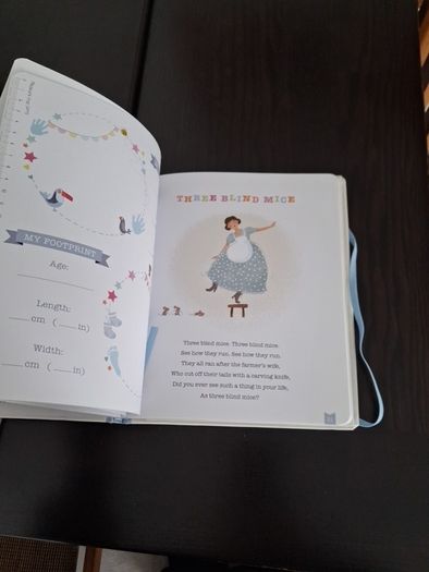 Baby Boy Record Book