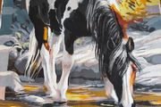 Canvas Paintings