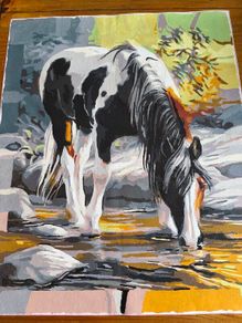 Canvas Paintings