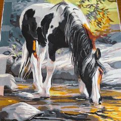 Canvas Paintings