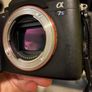 Sony Alpha a7S II Image 2