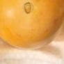 antique 1890s billiards balls  x 4 Image 2