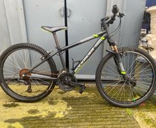 3 bikes