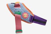 Dog Harness