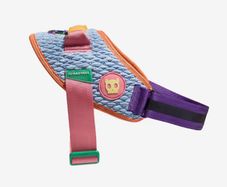Dog Harness