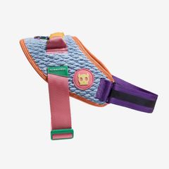 Dog Harness
