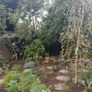 Soft  landscaping services north dublin Image 5