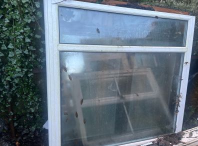 Window